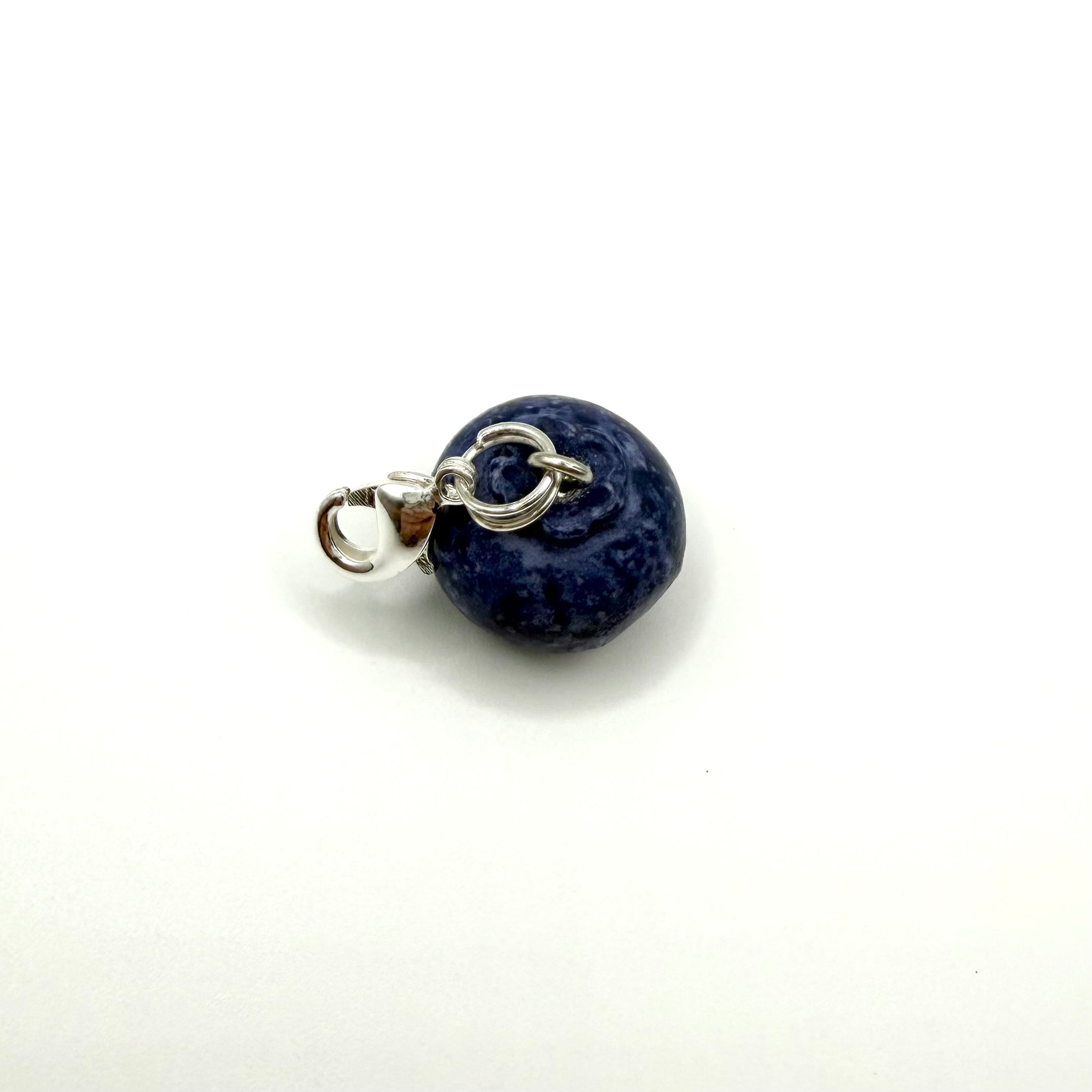 Blueberry Pet Charm