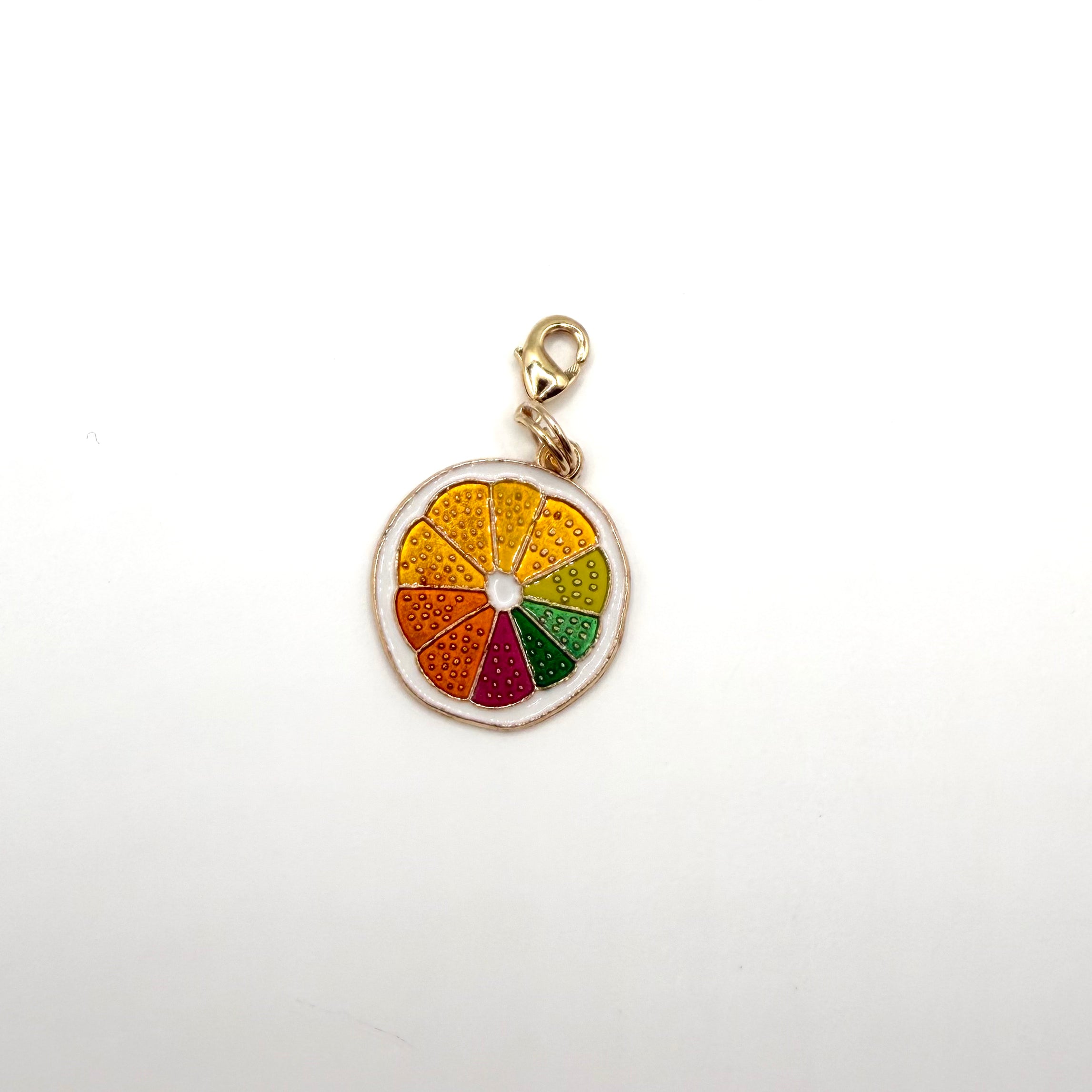 Rainbow Orange Slice Pet Charm