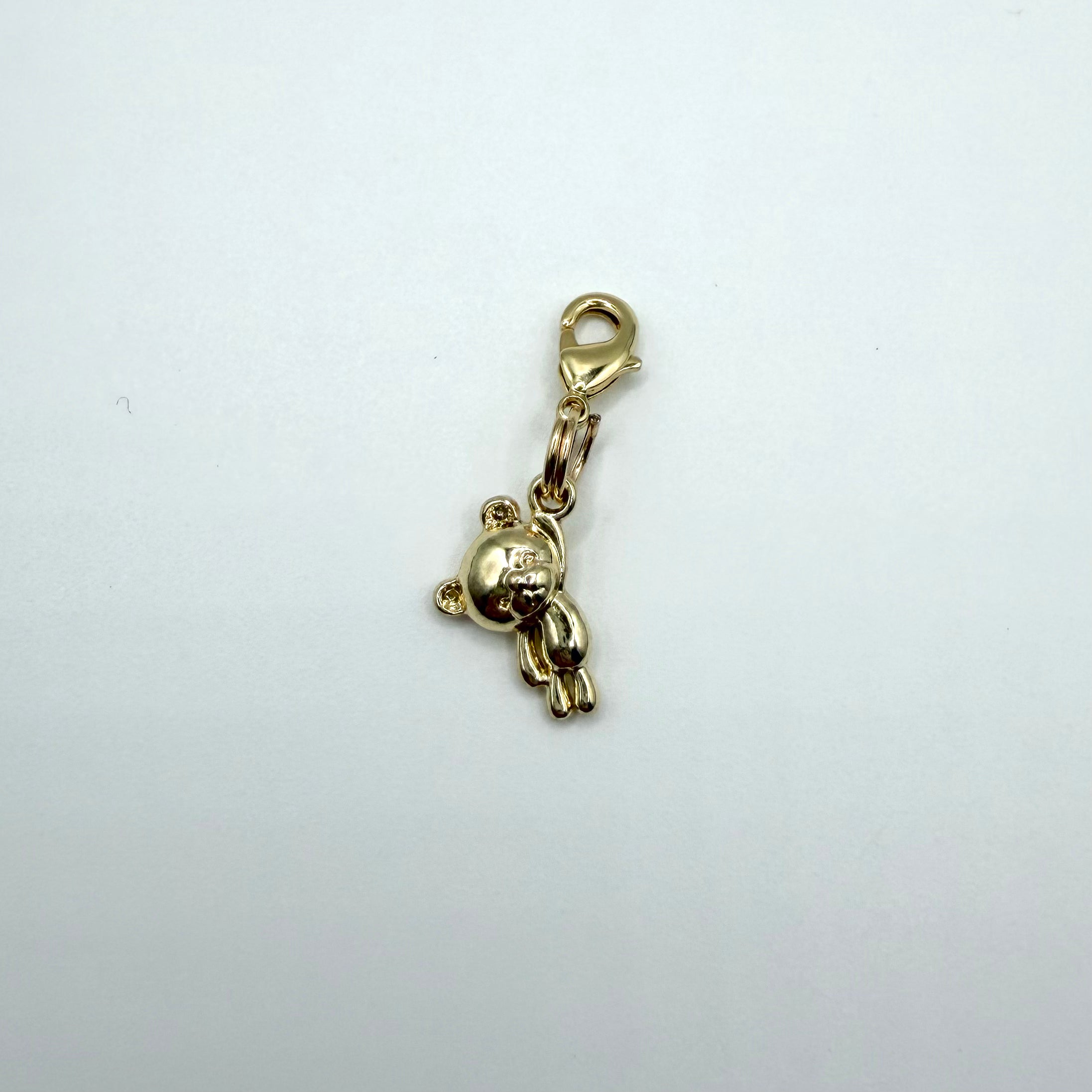 Teddy Bear Pet Charm
