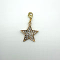 Star Pet Charm