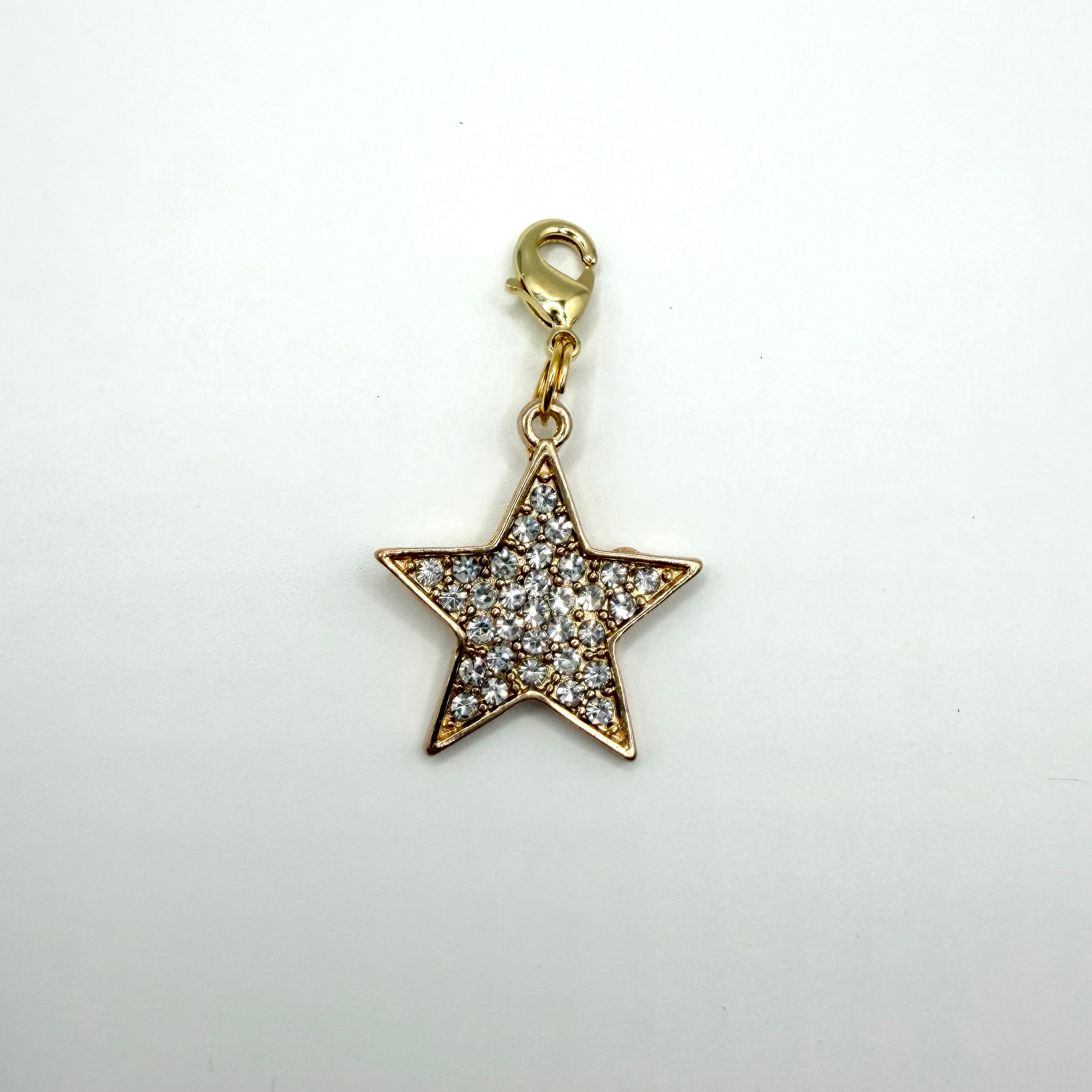 Star Pet Charm