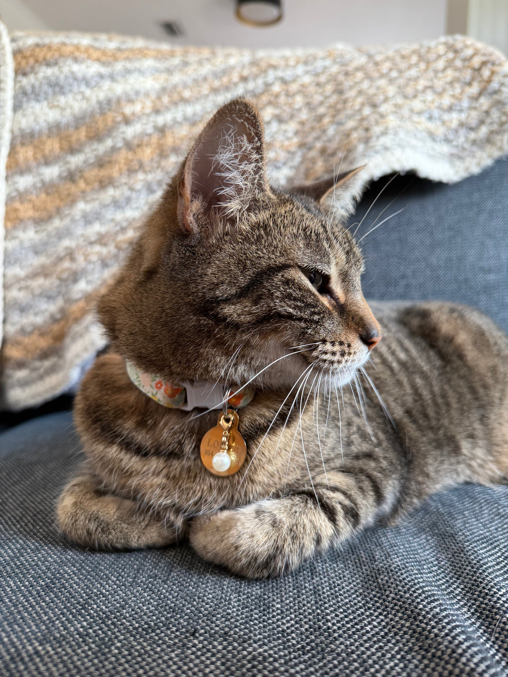Faux Pearl Pet Charm